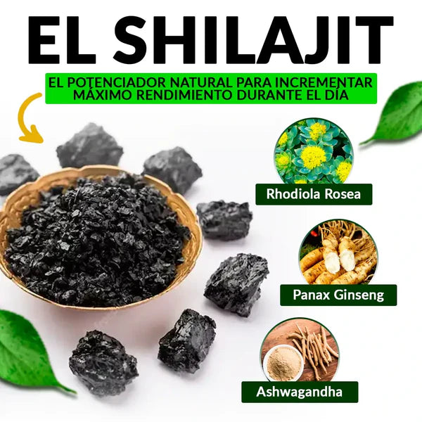 8 en 1 Cápsulas - Shilajit Ashwagandha Rhodiola Rosea Panax y Ginseng (120 Cápsulas)